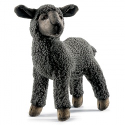 Black Lamb 28cmL Plush Soft Toy